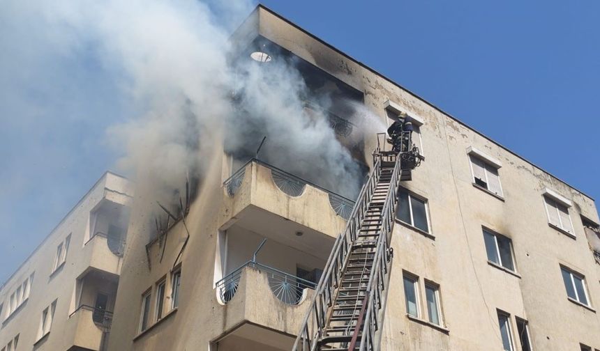 Gebe Kedi İçin İtfaiye Seferber Oldu