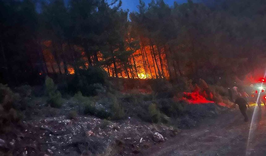Alanya'da ormanlık alanda çıkan yangın kontrol altına alındı