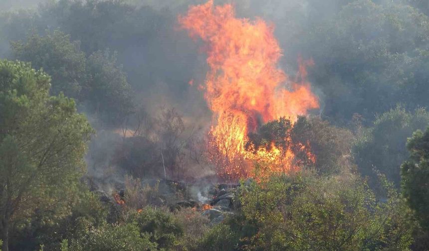 Antalya'da iki ilçede çıkan orman yangınları kontrol altına alındı
