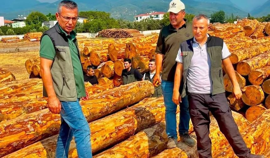 Dörtyol'da orman işletmesinin çalışmaları değerlendirildi