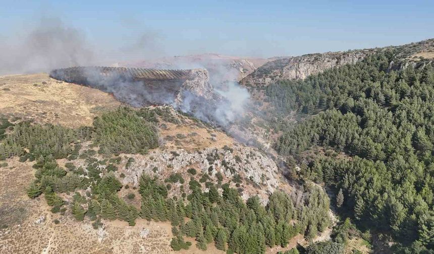 Hatay'da orman yangını çıktı