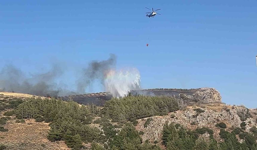 Hatay'da orman yangınına havadan ve karadan müdahale sürüyor