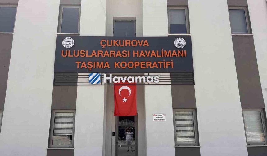 Korsan taşımacılık sektöre zarar veriyor