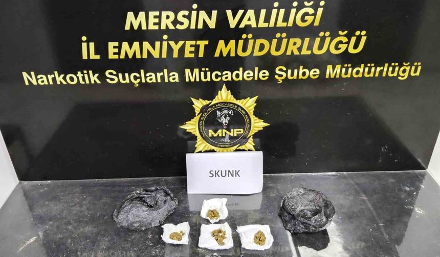 Mersin'de sokak satıcılarına operasyon: 2 tutuklama