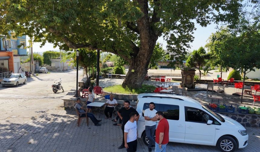 Osmaniye'de 260 yıllık çınar yaz sıcağında doğal klima oluyor