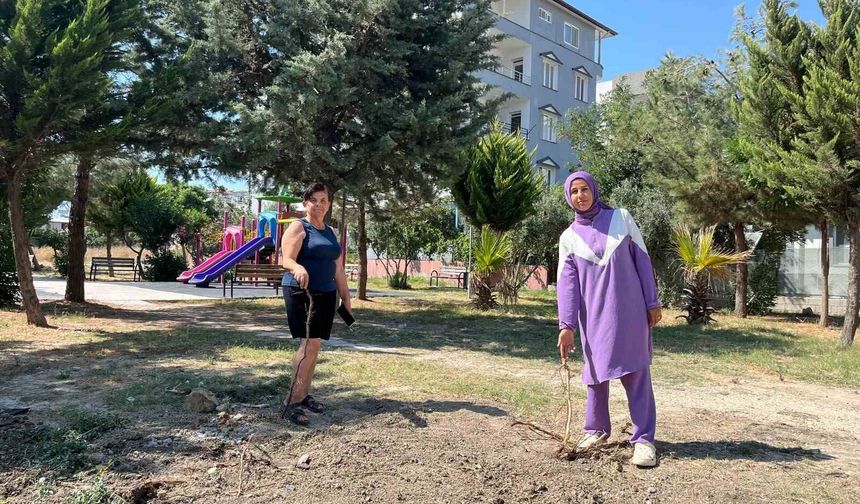 Parktaki ağaçların sökülmesine vatandaşlardan tepki