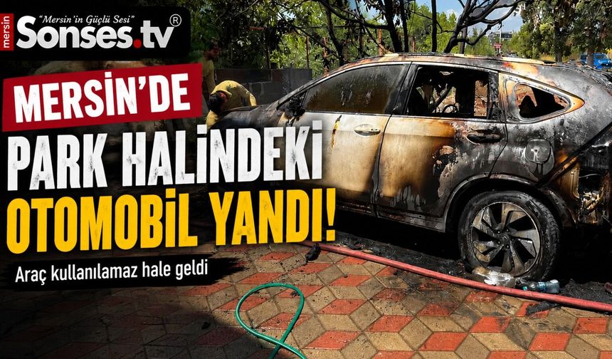 Orman ekipleri, yanan otomobili görüp söndürdü