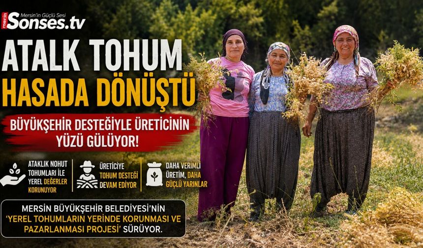 Gülnar’da Atalık Nohut Hasadı Yapıldı