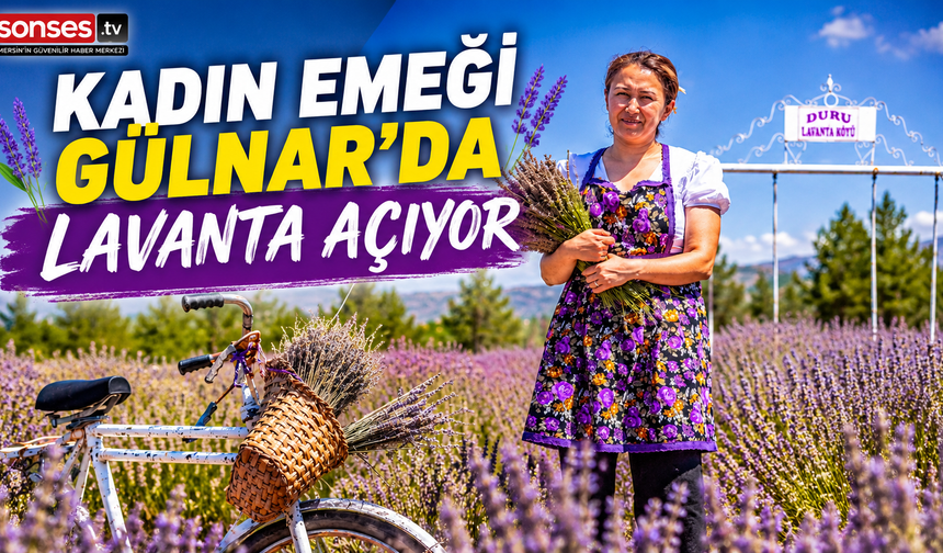 Kadın Emeği Gülnar'da Lavanta Açıyor