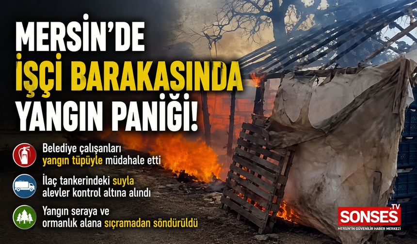 Mersin'de seranın yanındaki barakada yangın paniği