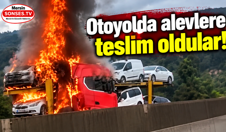 Otoyolda alev alan tırdaki araçlar yandı