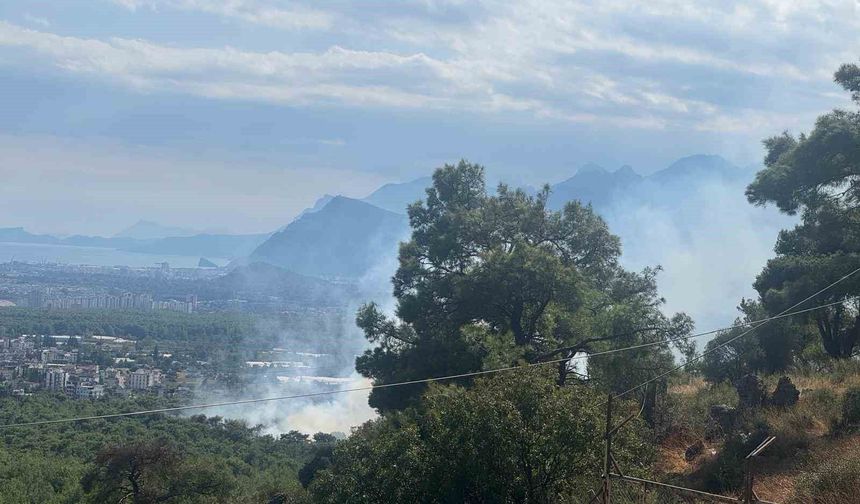 Antalya'da orman yangını