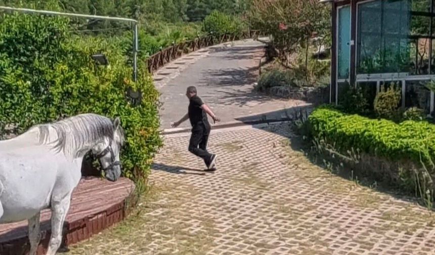 Klip çekiminde atın altında kalmaktan son anda kurtuldu