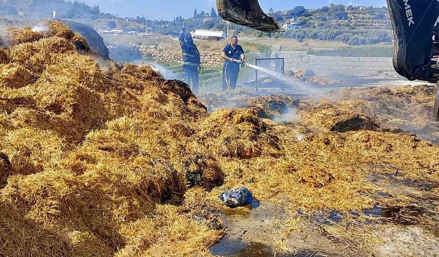 Tarsus'ta saman balyalarının olduğu alanda yangın