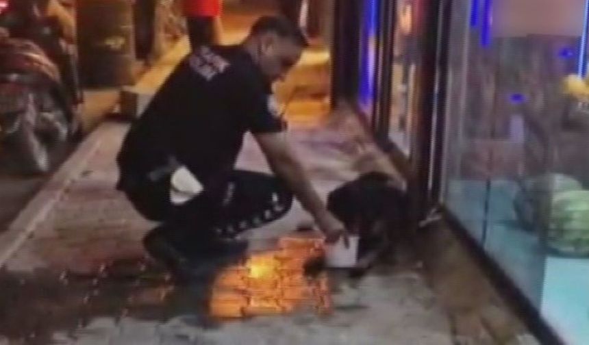 Vurulan Sokak Köpeğine Emniyet Eli Uzandı!