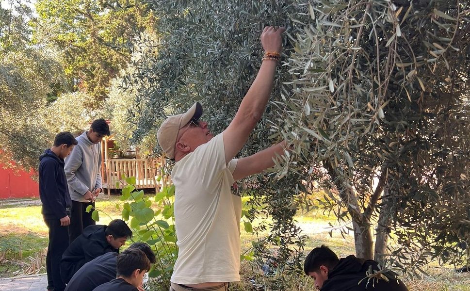 Nihal Erdem Anadolu Lisesi öğrencileri ihtiyaç sahibi arkadaşları için zeytin topladı