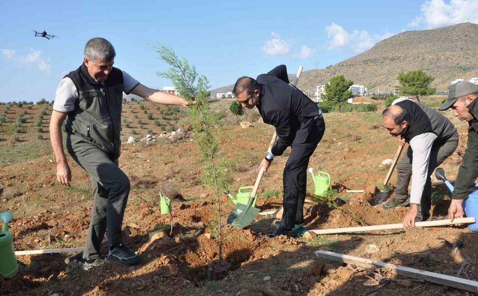 Silifke'de Şehit Savcı Mehmet Selim Kiraz Hatıra Ormanı yeniden yeşilleniyor