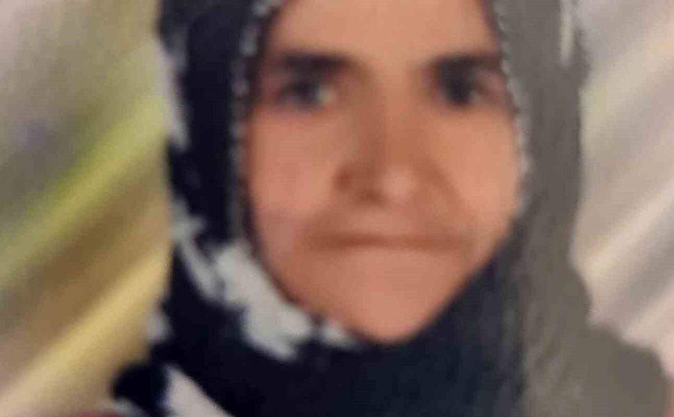 Tarsus'ta otomobilin çarptığı yaşlı kadın hayatını kaybetti
