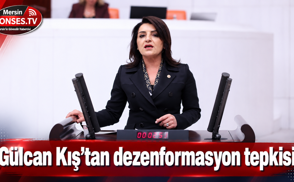 CHP'li Gülcan Kış’tan dezenformasyon tepkisi