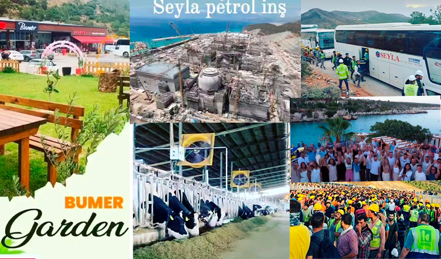 Sirketler Yaptigi Isler