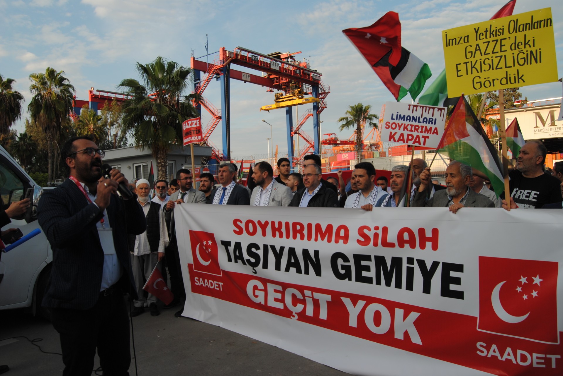 Thumbnail D S C 0072