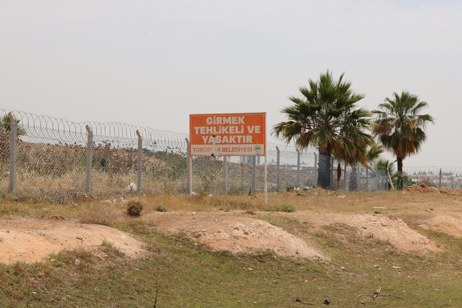 Thumbnail Gölet Alanında Islah Çalışması (3)