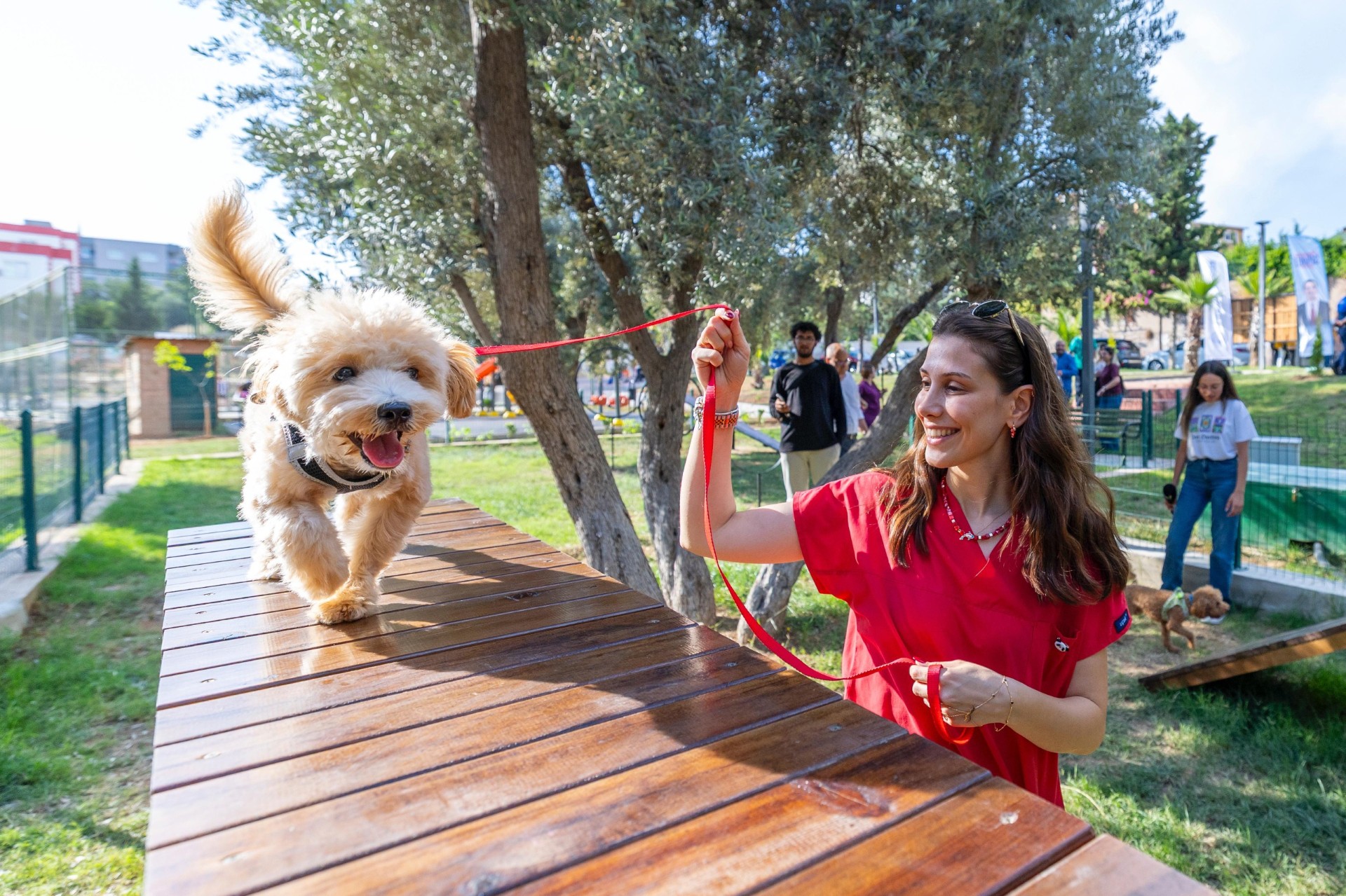 Thumbnail Yenişehir Belediyesinden Patili Dostlara Özel Park17