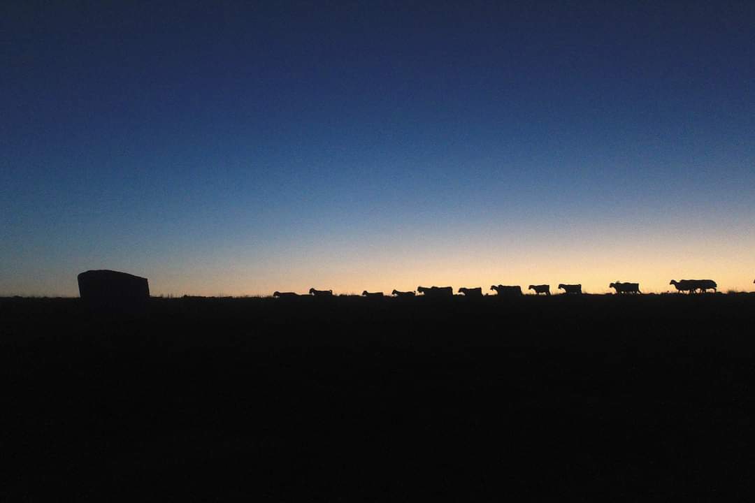 Ünlü Fotoğraf Sanatçıları Karaman’da Sanatseverlerle Buluşacak