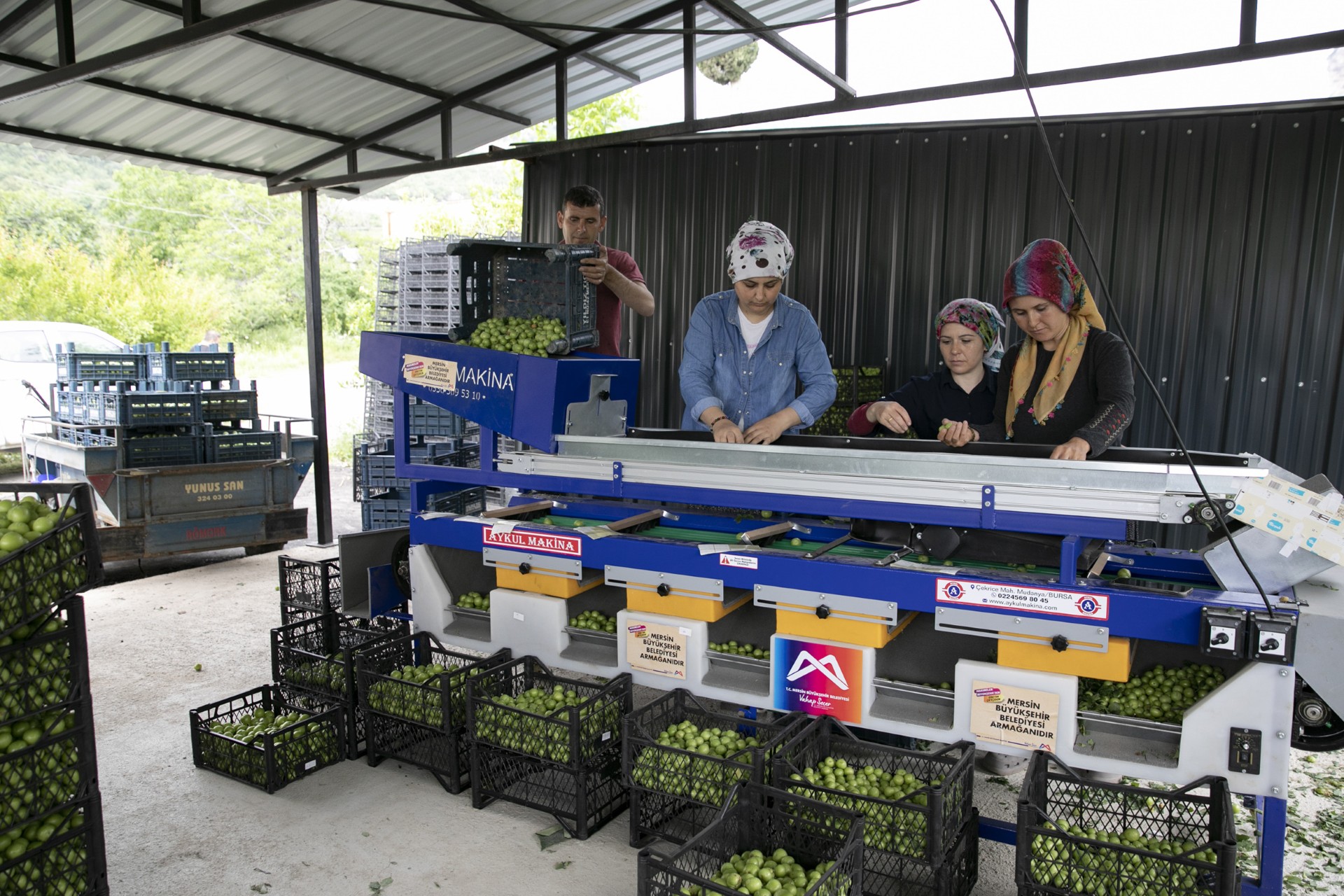 Thumbnail Büyükşehi̇r’i̇n Maki̇ne Destekleri̇ İle Üreti̇ci̇ Kazaniyor, Kirsal Kalkiniyor (1)