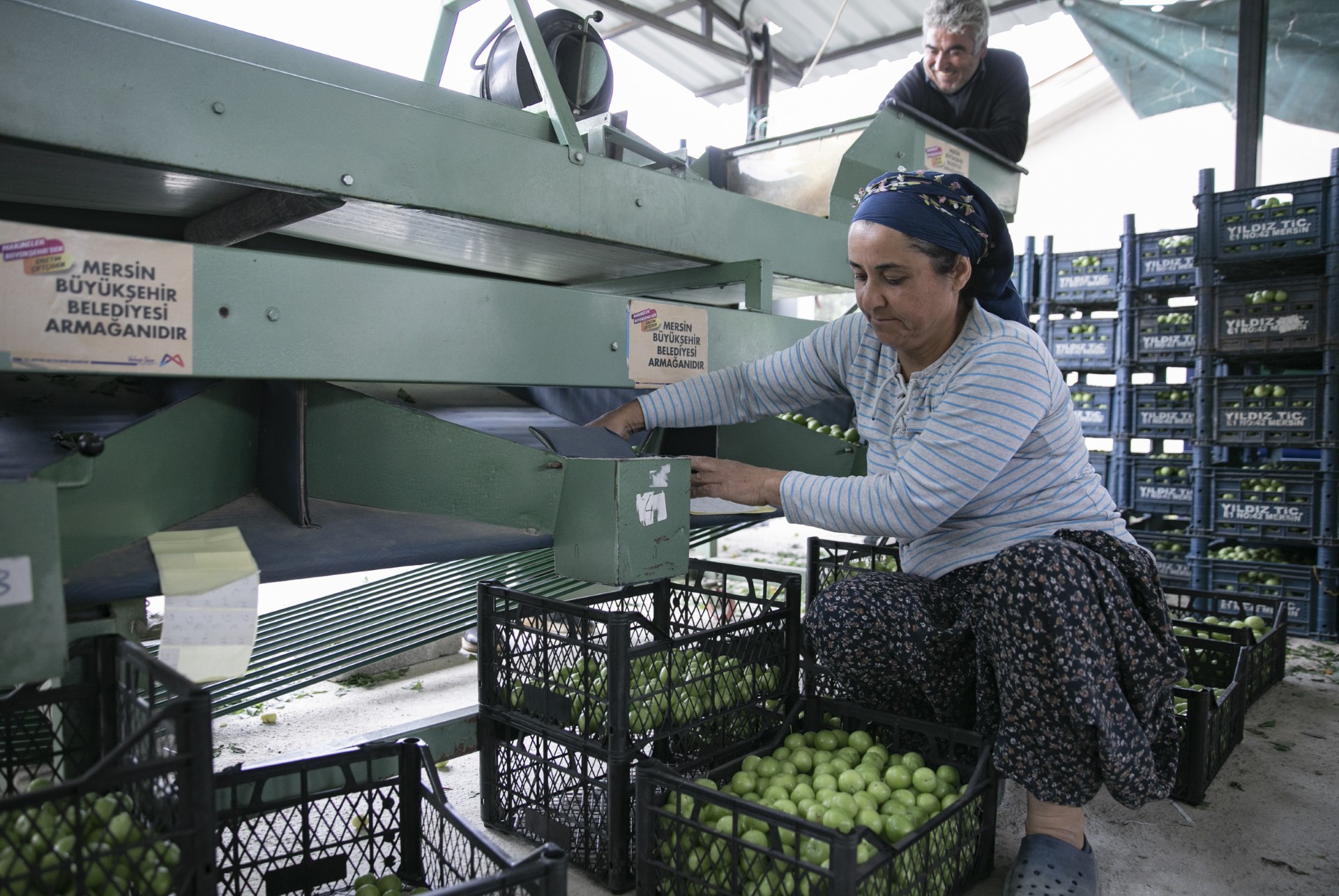 Thumbnail Büyükşehi̇r’i̇n Maki̇ne Destekleri̇ İle Üreti̇ci̇ Kazaniyor, Kirsal Kalkiniyor (5)