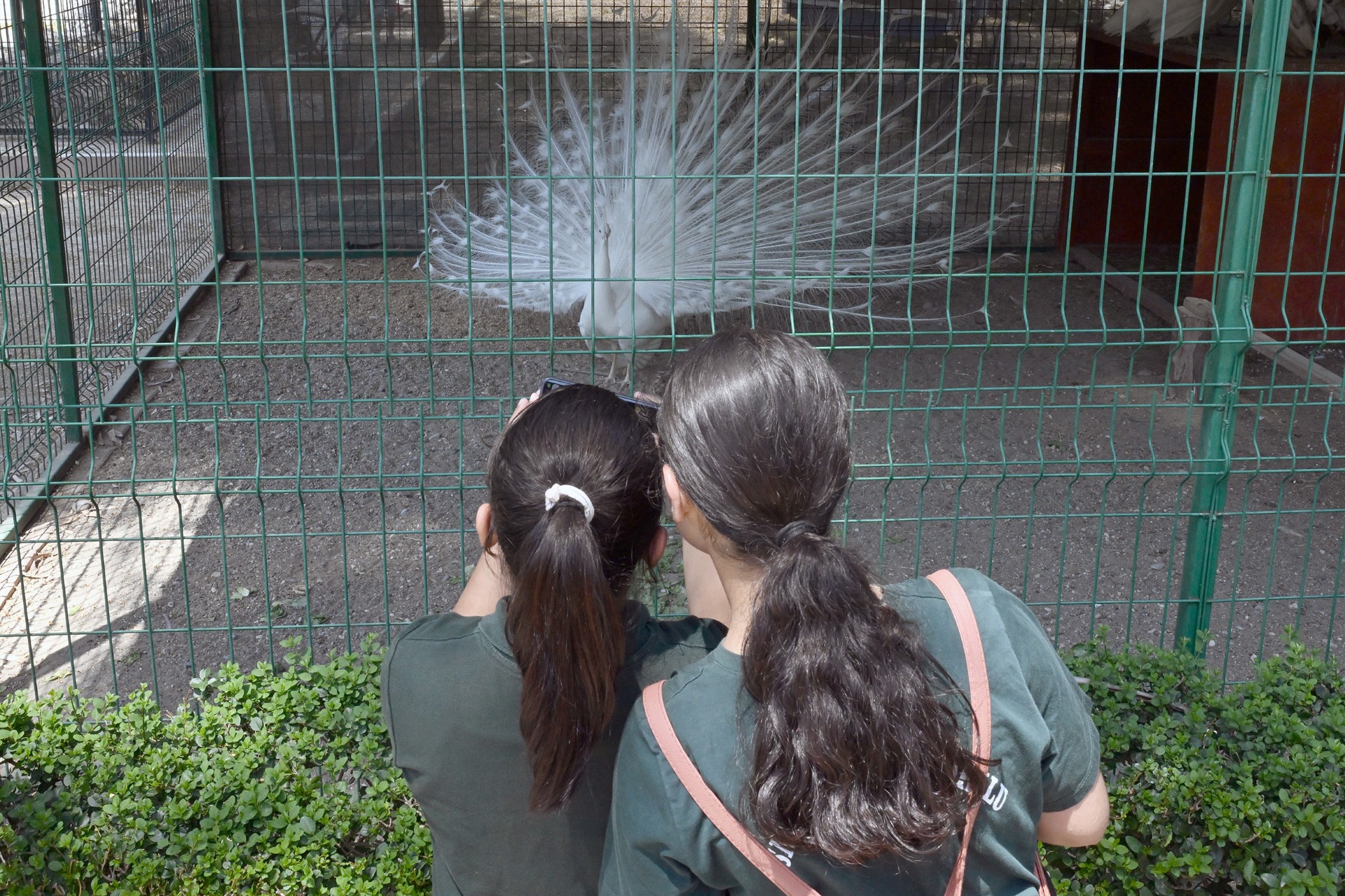 Thumbnail ‘Mi̇ni̇kbüs’le Çocuklarin Gezi̇ Ve Öğrenme Yolculuğu Sürüyor (3)