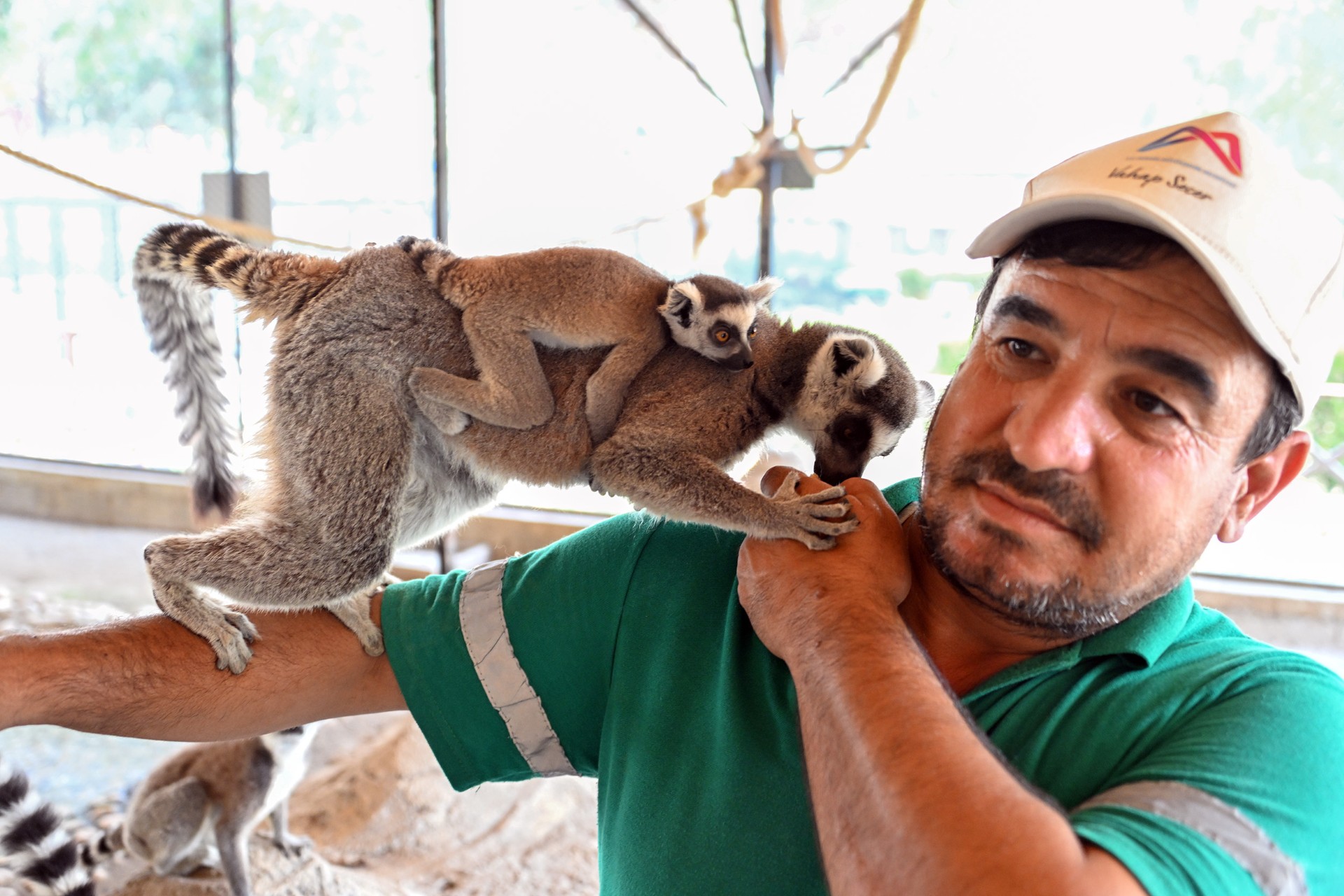 Thumbnail Tarsus Doğa Parki Yeni̇ Üyeleri̇ne ‘Merhaba’ Di̇yor (5)