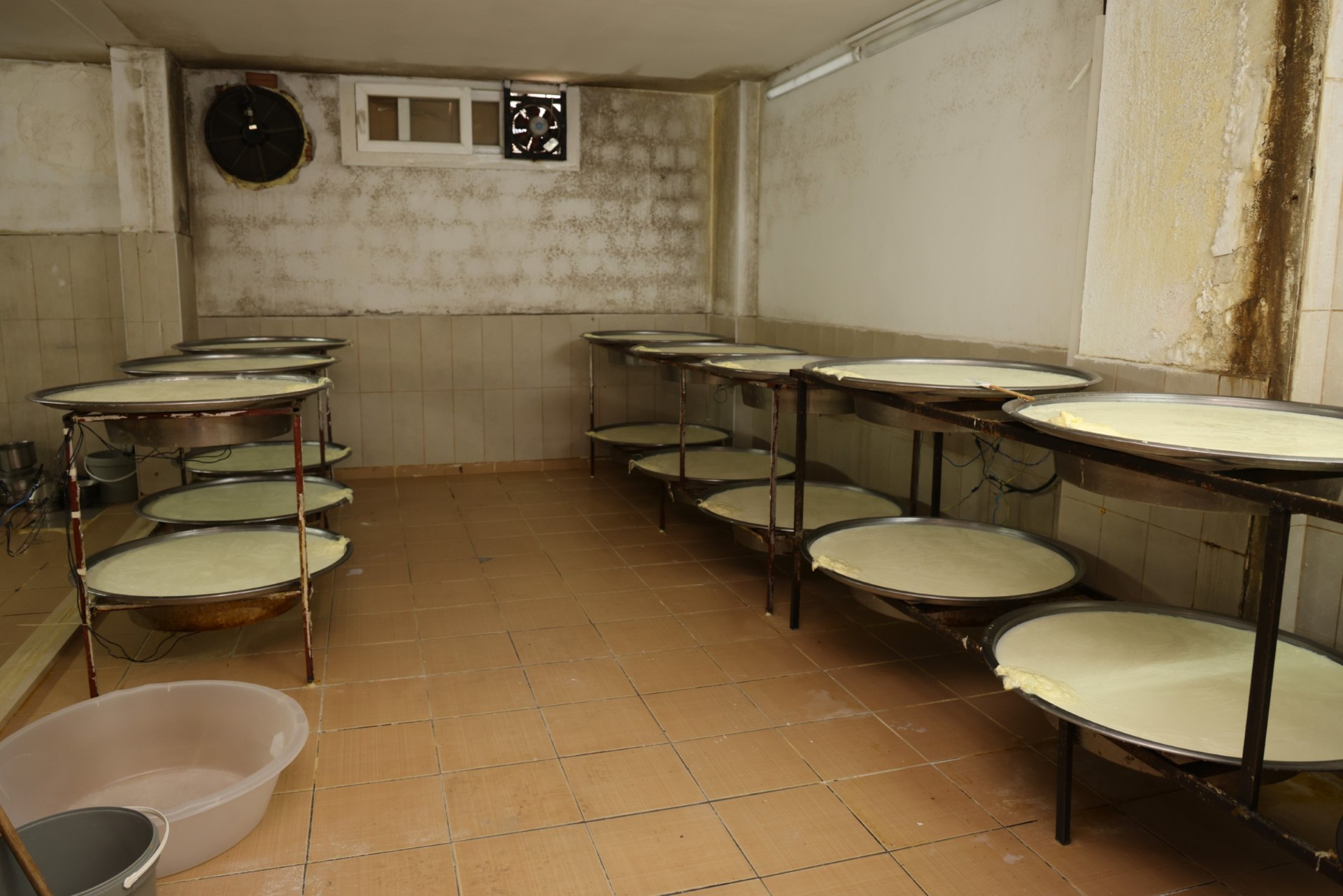 Thumbnail Zabıta Denetim (3)-1