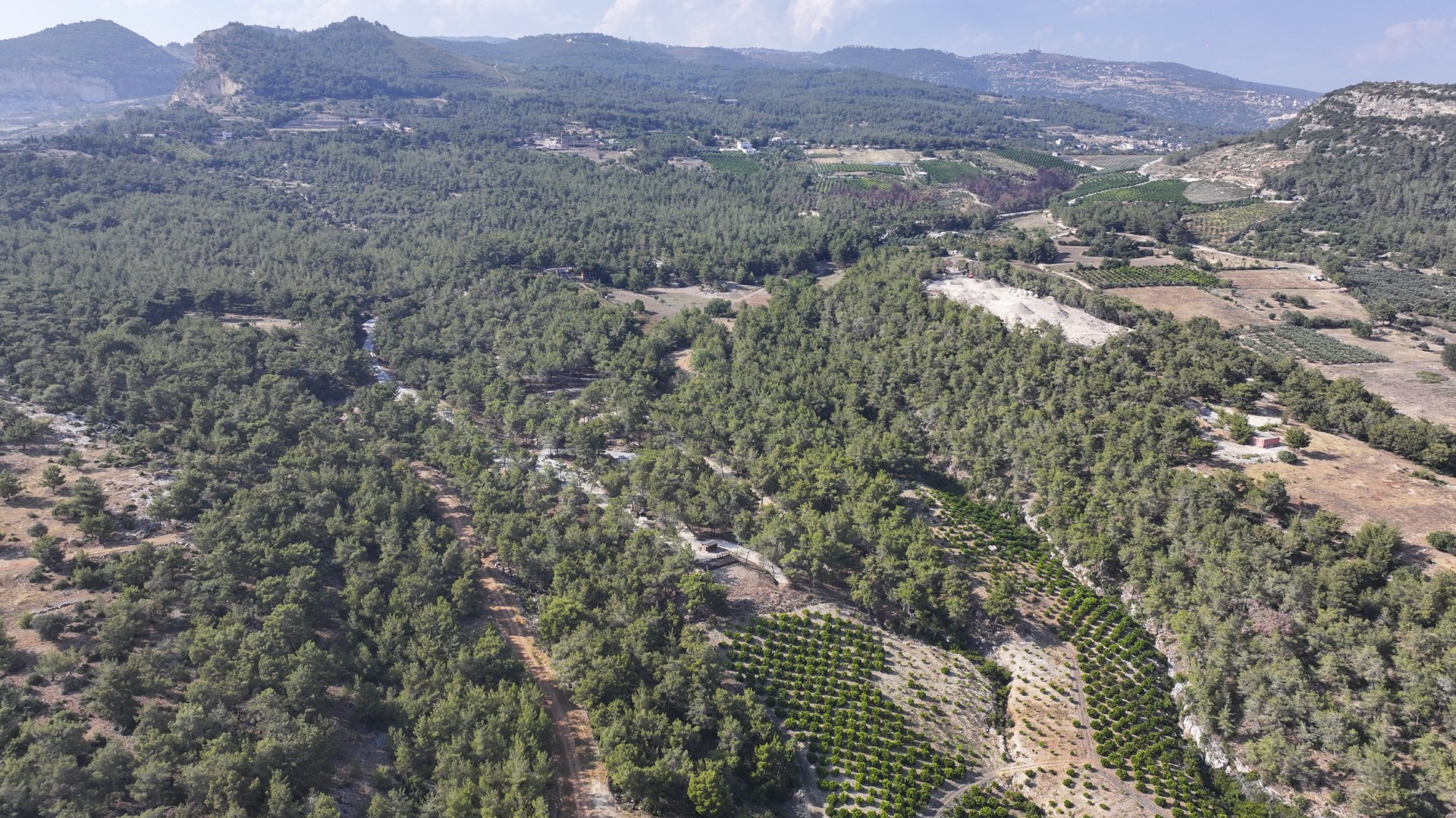 Thumbnail Emi̇rler Orman Parki Pi̇kni̇k Alani’nda Ateş Yakmak Yasaklandi (4)