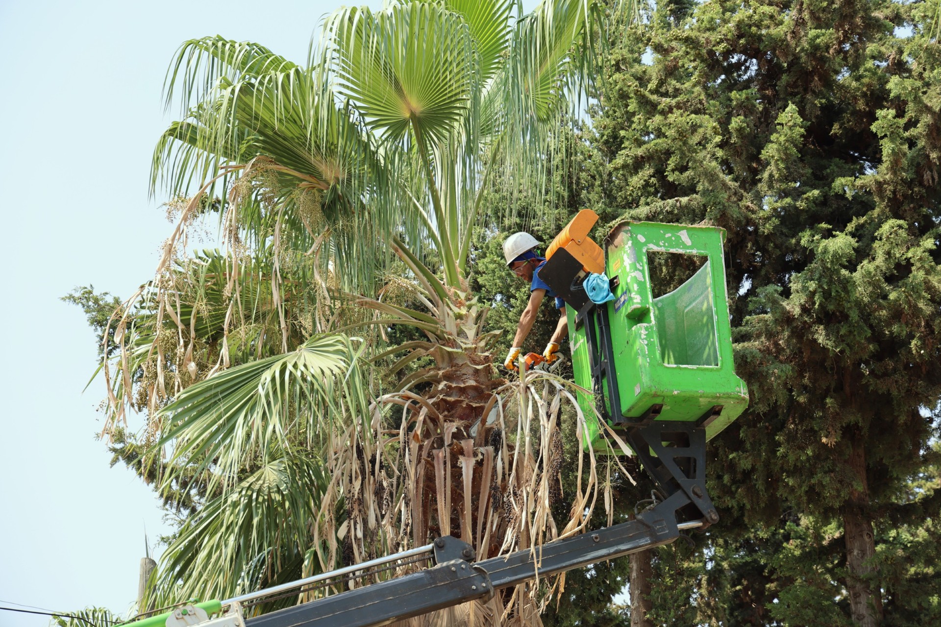 Thumbnail Park Bakım Çalışmaları (2)