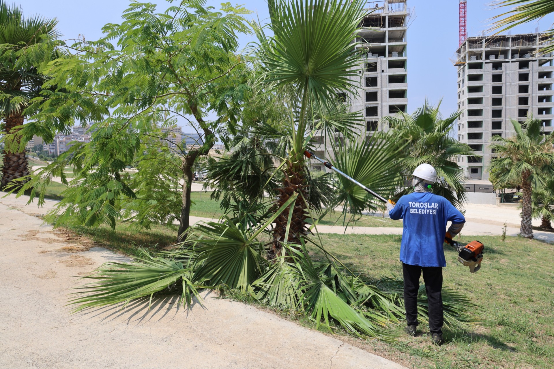 Thumbnail Park Ve Yeşil Alan Bakımı (3)