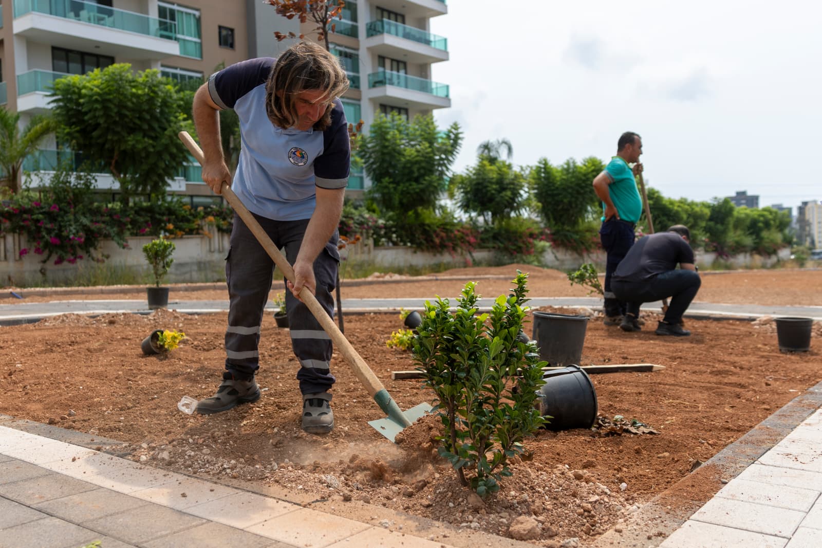 Yenişehir Belediyesi Kenti Yeşillendirmeye Devam Ediyor (9)