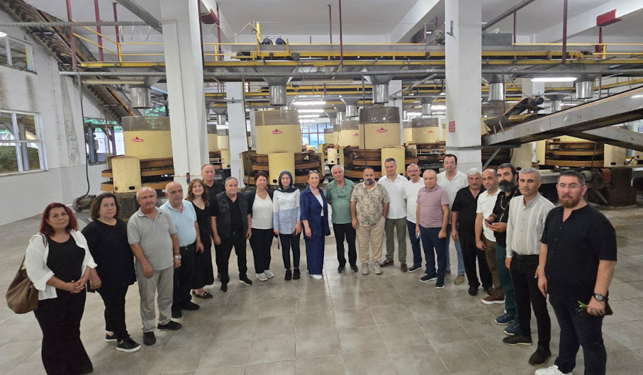 P S X 20250804 061113