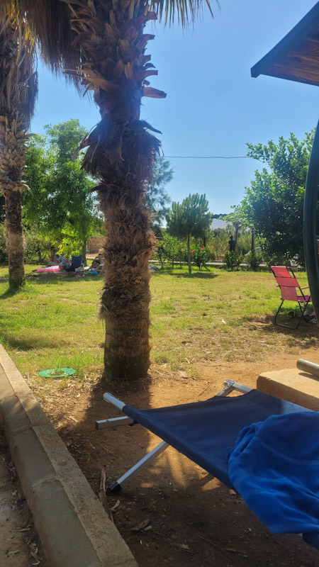 P S X 20250818 143612