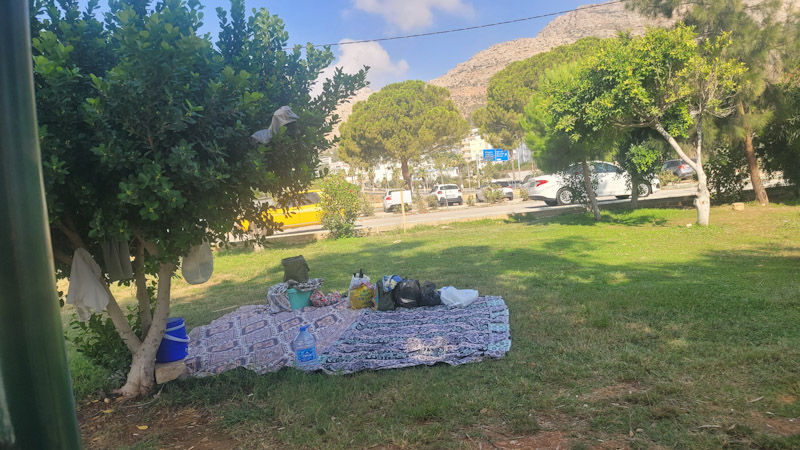 P S X 20250818 143814