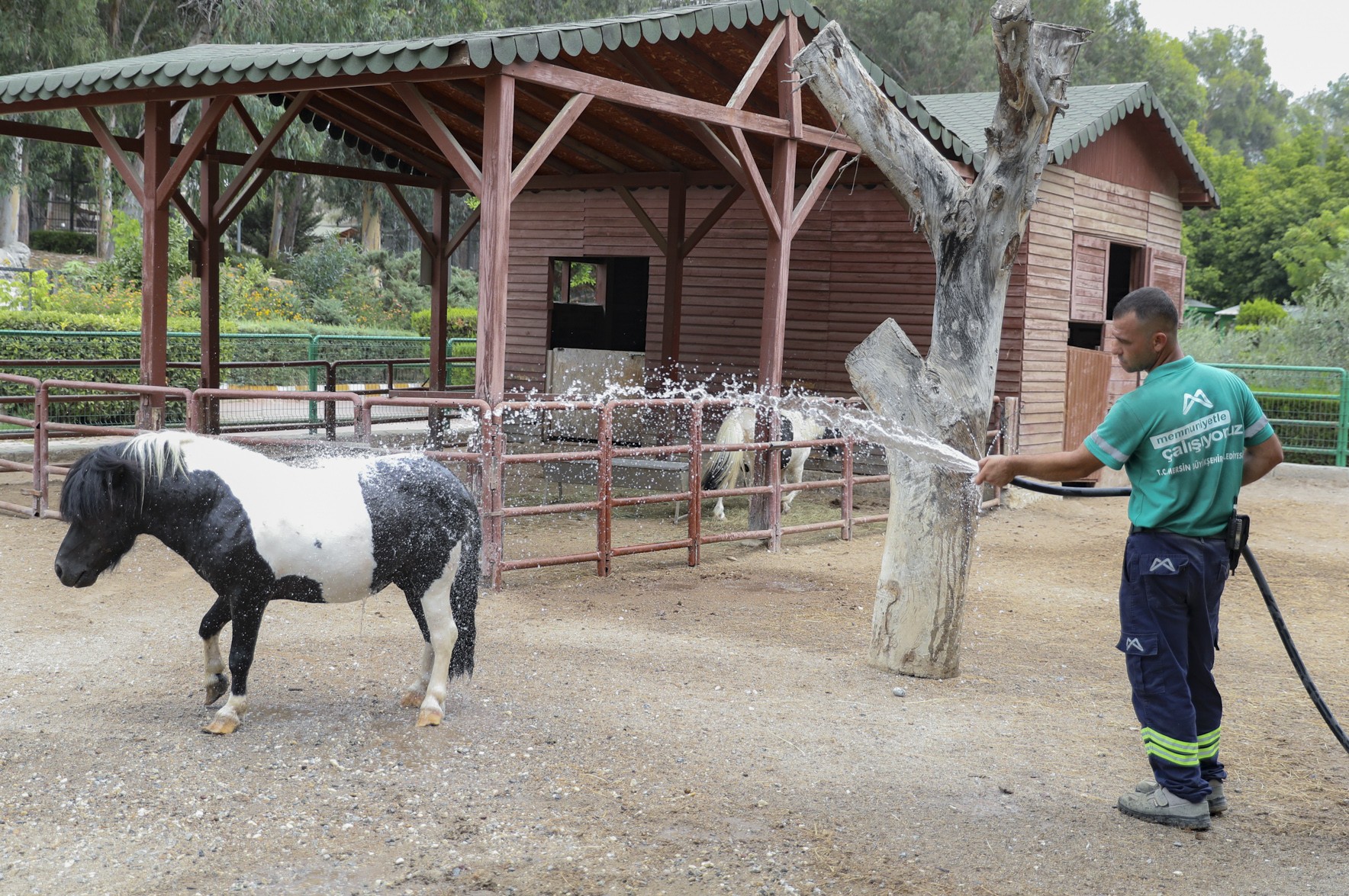 Thumbnail Tarsus Doğa Parki’nda Hayvanlari Seri̇nleten Çalişmalar… (7)