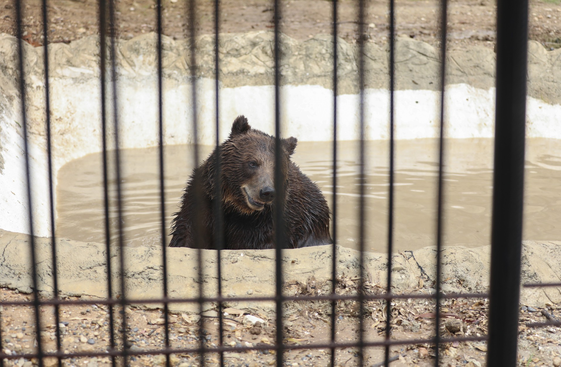 Thumbnail Tarsus Doğa Parki’nda Hayvanlari Seri̇nleten Çalişmalar… (9)