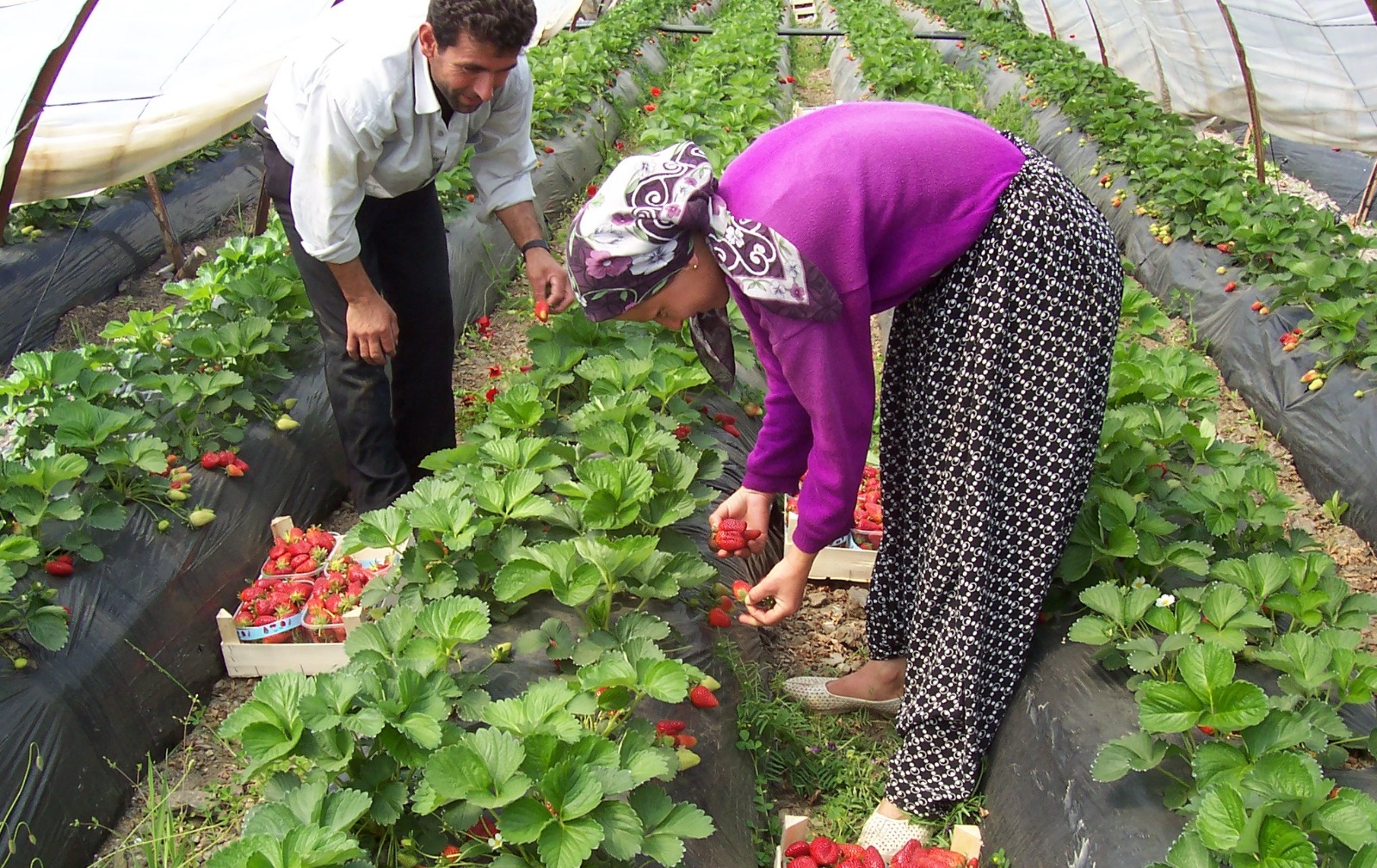 Whatsapp Görsel 2025 08 05 Saat 16.23.05 B39D30D4