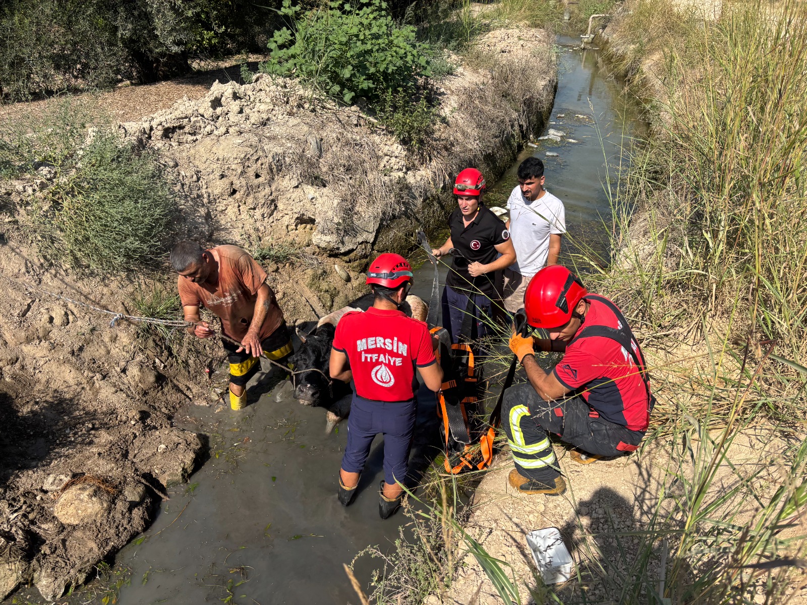 Whatsapp Görsel 2025 08 19 Saat 15.28.31 Df134Bf2