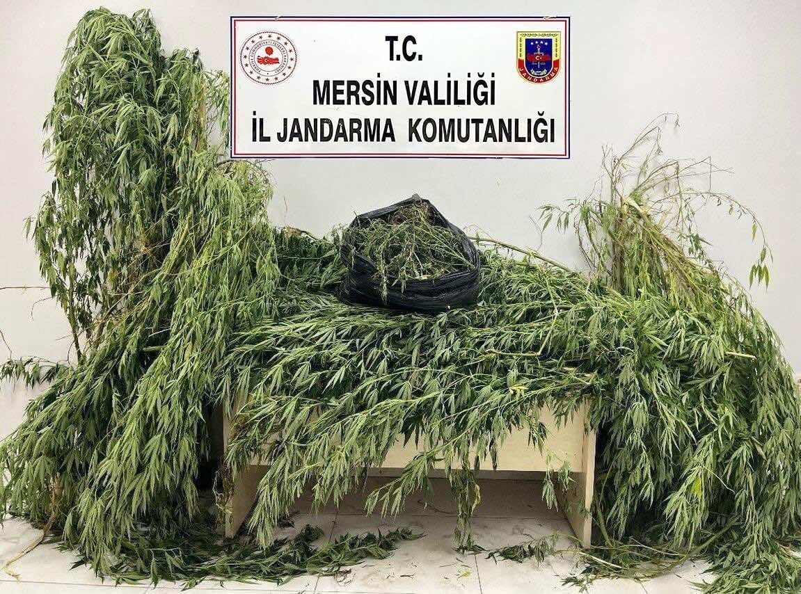 Whatsapp Görsel 2025 08 20 Saat 10.03.29 517C7092