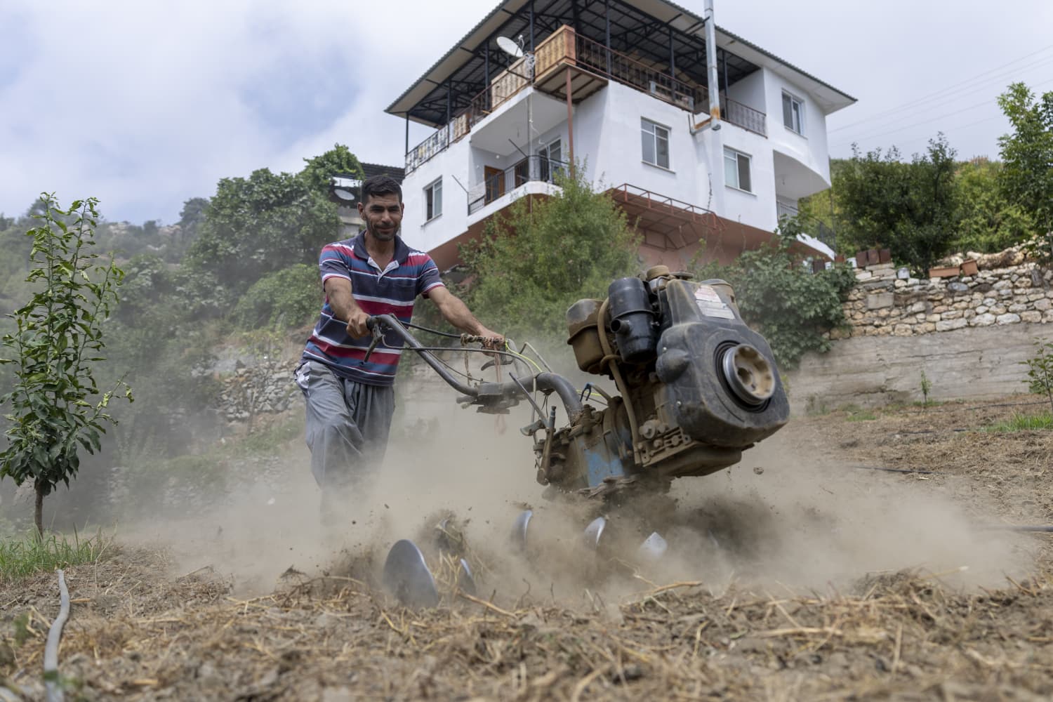 Yenişehir Belediyesinin Desteğiyle Safran Üreticisi Sayısı Artıyor (9)