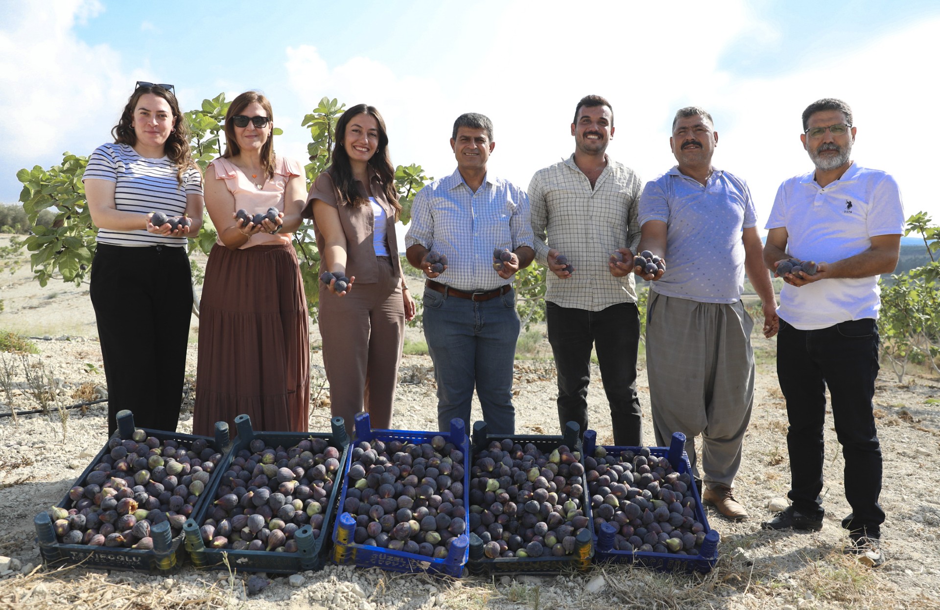 Thumbnail Mersi̇n Büyükşehi̇r’i̇n İnci̇r Fi̇danlari Artik Meyveleri̇ni̇ Veri̇yor (6)