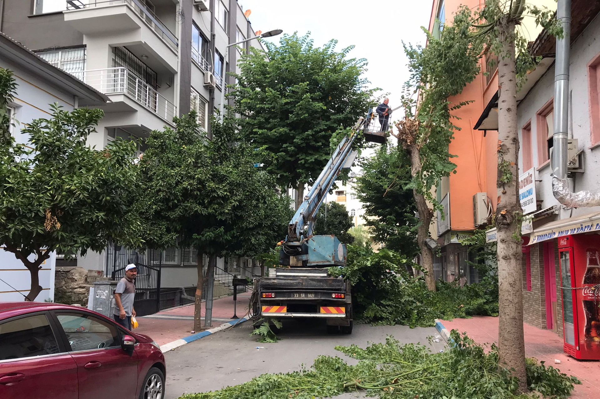 Thumbnail Akdenizde Ağaçlara Sonbahar Bakımı 1