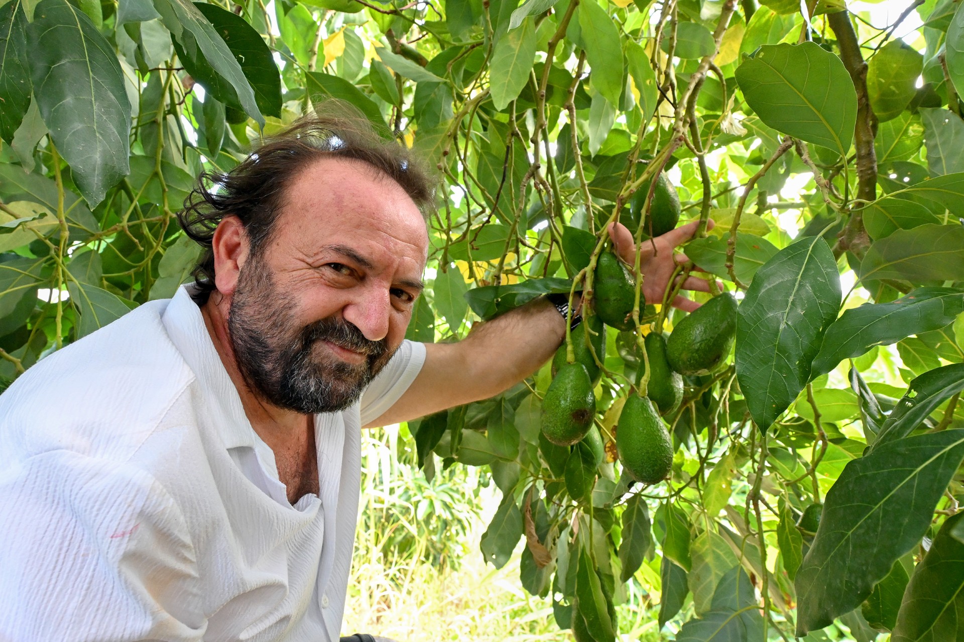 Thumbnail Büyükşehi̇r Toprağa Değer, Üreti̇ci̇ye Umut Katiyor (4)