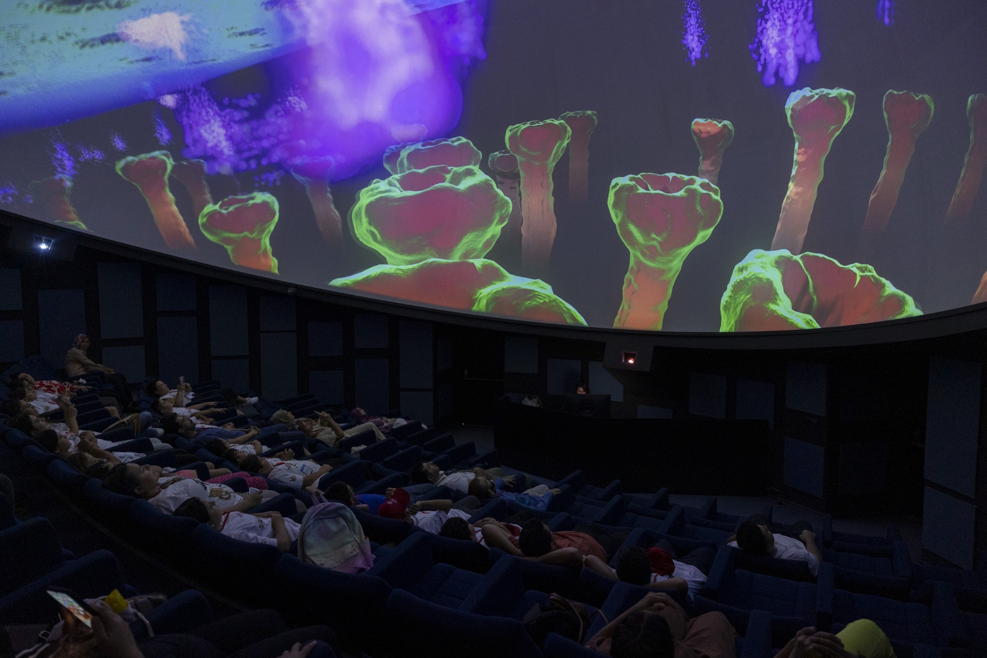 Thumbnail Mercan Planetaryumu Uluslararasi Görünürlük Kazandi (1)